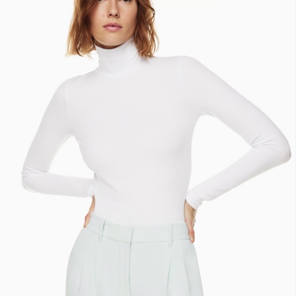 Wilfred Tops - Aritzia Wilfred Only Turtleneck, S